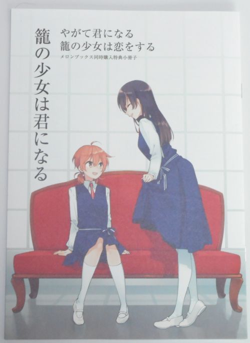 kagoshokoi1ss4.jpg