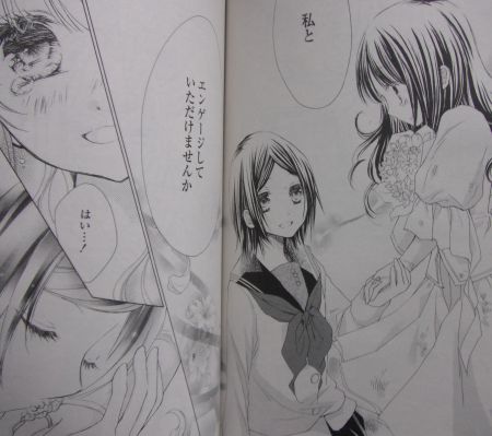 hime20135d.jpg