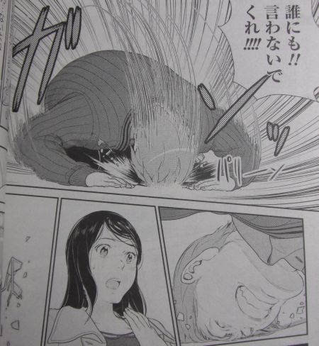 hime20135e.jpg