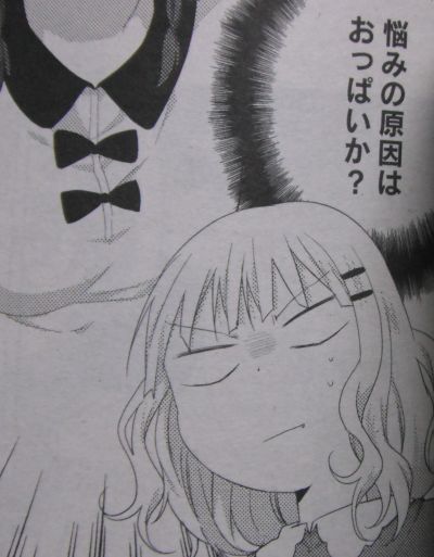 hime20135j.jpg