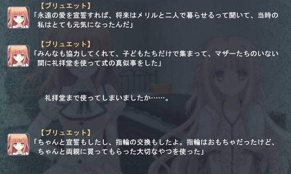 otomeriron1a4.jpg
