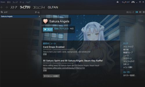 steam_sample2.jpg