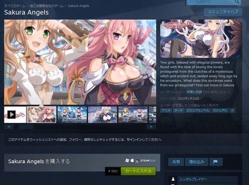 steam_sample4.jpg