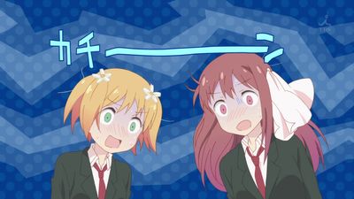 tricka_11a5.jpg